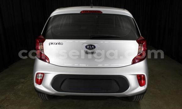 Acheter Occasion Voiture Kia Picanto Gris à Mbabane, Manzini Acheter Occasion Voiture Kia Picanto Gris à Mbabane, Manzini