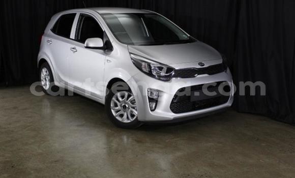 Acheter Occasion Voiture Kia Picanto Gris à Mbabane, Manzini Acheter Occasion Voiture Kia Picanto Gris à Mbabane, Manzini