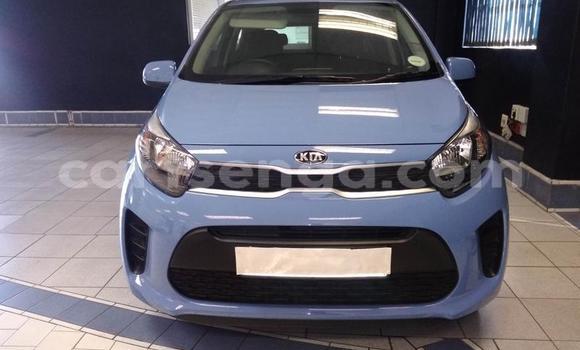 Acheter Occasion Voiture Kia Picanto Bleu à Import - Dubai, Hhohho Acheter Occasion Voiture Kia Picanto Bleu à Import - Dubai, Hhohho