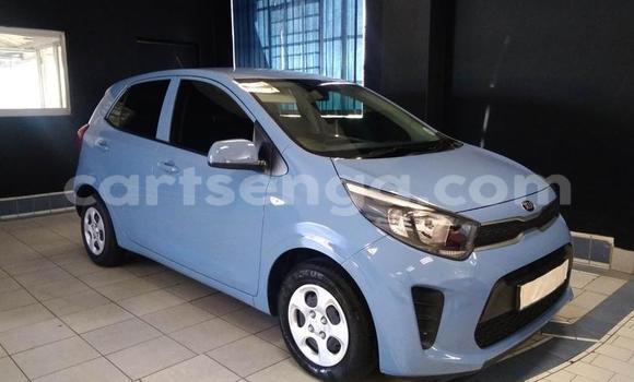 Acheter Occasion Voiture Kia Picanto Bleu à Import - Dubai, Hhohho Acheter Occasion Voiture Kia Picanto Bleu à Import - Dubai, Hhohho
