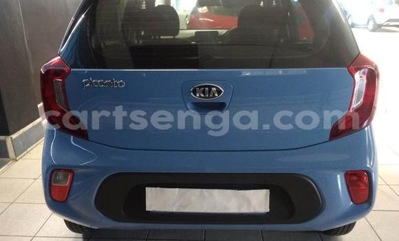 Acheter Occasion Voiture Kia Picanto Bleu à Import - Dubai, Hhohho Acheter Occasion Voiture Kia Picanto Bleu à Import - Dubai, Hhohho