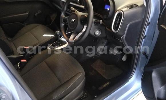 Acheter Occasion Voiture Kia Picanto Bleu à Import - Dubai, Hhohho Acheter Occasion Voiture Kia Picanto Bleu à Import - Dubai, Hhohho