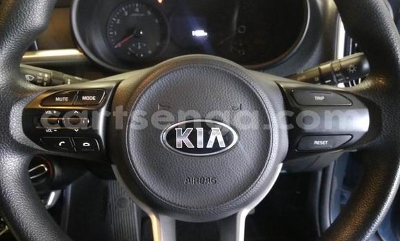 Acheter Occasion Voiture Kia Picanto Bleu à Import - Dubai, Hhohho Acheter Occasion Voiture Kia Picanto Bleu à Import - Dubai, Hhohho