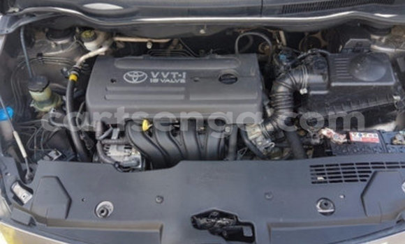 Nunua Ilio tumika Toyota Corolla Verso Other Gari ndani ya Ezulwini nchini Hhohho Nunua Ilio tumika Toyota Corolla Verso Other Gari ndani ya Ezulwini nchini Hhohho