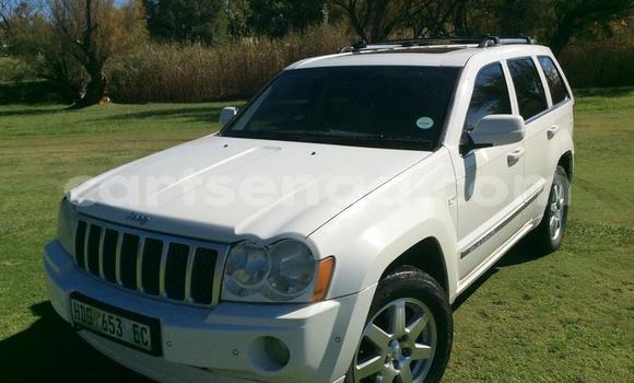Buy Used Jeep CJ White Car in Manzini in Manzini Buy Used Jeep CJ White Car in Manzini in Manzini