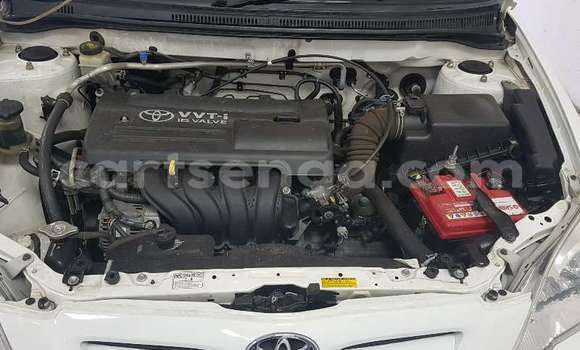 Buy Used Toyota Runx White Car in Ezulwini in Hhohho Buy Used Toyota Runx White Car in Ezulwini in Hhohho