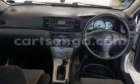 Buy Used Toyota Runx White Car in Ezulwini in Hhohho Buy Used Toyota Runx White Car in Ezulwini in Hhohho