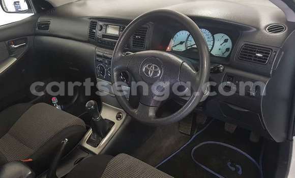 Buy Used Toyota Runx White Car in Ezulwini in Hhohho Buy Used Toyota Runx White Car in Ezulwini in Hhohho