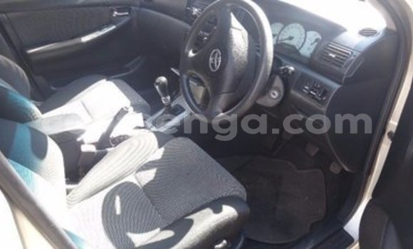 Buy Used Toyota Runx Other Car in Manzini in Manzini Buy Used Toyota Runx Other Car in Manzini in Manzini