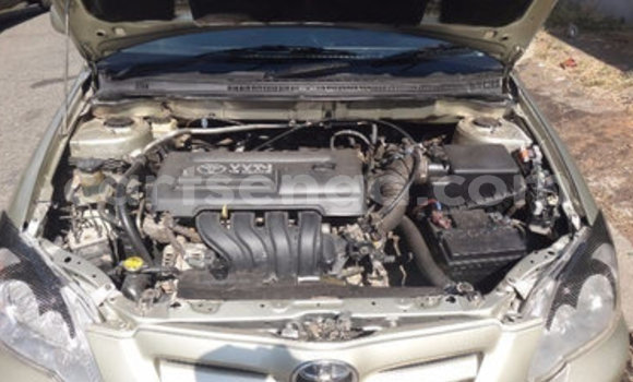 Buy Used Toyota Runx Other Car in Manzini in Manzini Buy Used Toyota Runx Other Car in Manzini in Manzini