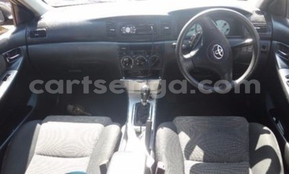 Buy Used Toyota Runx Other Car in Manzini in Manzini Buy Used Toyota Runx Other Car in Manzini in Manzini