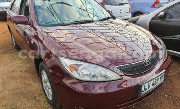 Acheter Occasion Voiture Toyota Camry Rouge à Manzini, Manzini Acheter Occasion Voiture Toyota Camry Rouge à Manzini, Manzini