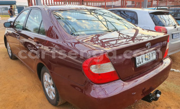 Acheter Occasion Voiture Toyota Camry Rouge à Manzini, Manzini Acheter Occasion Voiture Toyota Camry Rouge à Manzini, Manzini