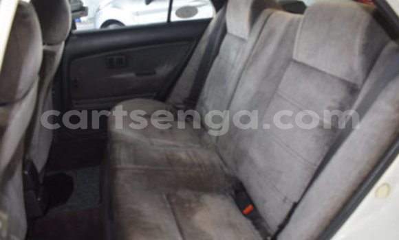 Buy Used Toyota Corolla White Car in Manzini in Manzini Buy Used Toyota Corolla White Car in Manzini in Manzini