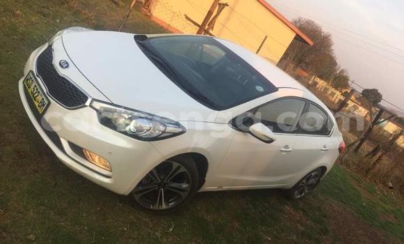 Acheter Occasion Voiture Kia Sedona Blanc à Mbabane, Manzini