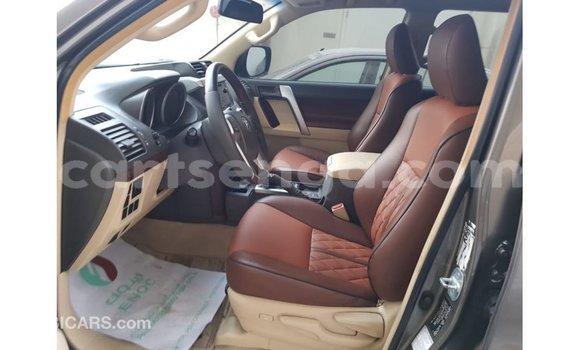 Buy Import Toyota Prado Brown Car in Import - Dubai in Hhohho Buy Import Toyota Prado Brown Car in Import - Dubai in Hhohho