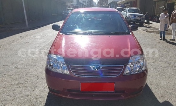 Nunua Ilio tumika Toyota Corolla Other Gari ndani ya Ezulwini nchini Hhohho Nunua Ilio tumika Toyota Corolla Other Gari ndani ya Ezulwini nchini Hhohho