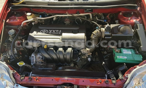 Nunua Ilio tumika Toyota Corolla Other Gari ndani ya Ezulwini nchini Hhohho Nunua Ilio tumika Toyota Corolla Other Gari ndani ya Ezulwini nchini Hhohho