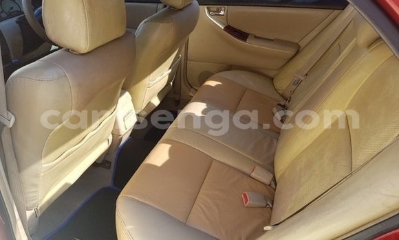 Nunua Ilio tumika Toyota Corolla Other Gari ndani ya Ezulwini nchini Hhohho Nunua Ilio tumika Toyota Corolla Other Gari ndani ya Ezulwini nchini Hhohho