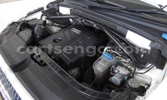 Nunua Ilio tumika Audi Q5 White Gari ndani ya Big Bend nchini Lubombo Nunua Ilio tumika Audi Q5 White Gari ndani ya Big Bend nchini Lubombo