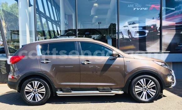 Nunua Ilio tumika Kia Sportage Other Gari ndani ya Hlatikulu nchini Wilaya ya Shiselweni Nunua Ilio tumika Kia Sportage Other Gari ndani ya Hlatikulu nchini Wilaya ya Shiselweni