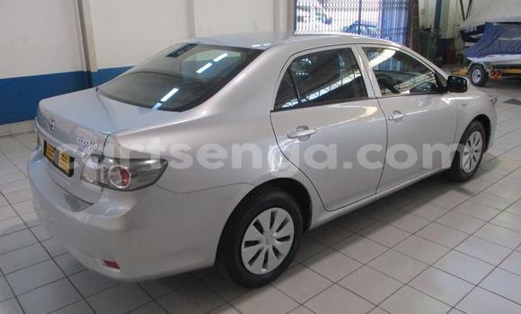 Nunua Ilio tumika Toyota Corolla Silver Gari ndani ya Manzini nchini Manzini Nunua Ilio tumika Toyota Corolla Silver Gari ndani ya Manzini nchini Manzini