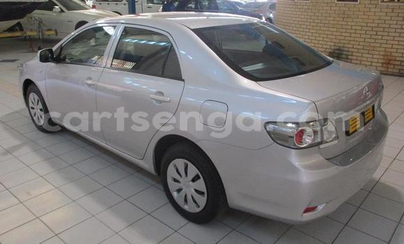 Nunua Ilio tumika Toyota Corolla Silver Gari ndani ya Manzini nchini Manzini Nunua Ilio tumika Toyota Corolla Silver Gari ndani ya Manzini nchini Manzini
