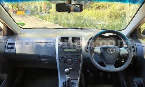 Nunua Ilio tumika Toyota Corolla Beige Gari ndani ya Manzini nchini Manzini Nunua Ilio tumika Toyota Corolla Beige Gari ndani ya Manzini nchini Manzini