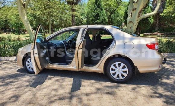 Nunua Ilio tumika Toyota Corolla Beige Gari ndani ya Manzini nchini Manzini Nunua Ilio tumika Toyota Corolla Beige Gari ndani ya Manzini nchini Manzini