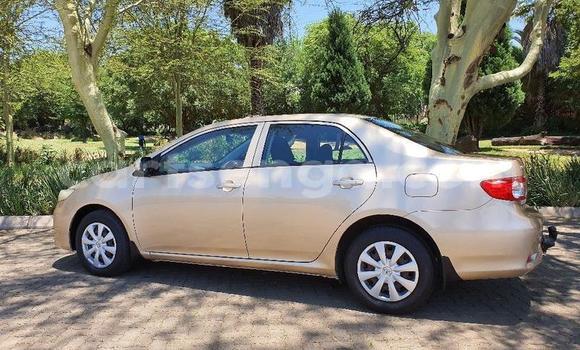 Nunua Ilio tumika Toyota Corolla Beige Gari ndani ya Manzini nchini Manzini Nunua Ilio tumika Toyota Corolla Beige Gari ndani ya Manzini nchini Manzini