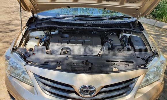 Nunua Ilio tumika Toyota Corolla Beige Gari ndani ya Manzini nchini Manzini Nunua Ilio tumika Toyota Corolla Beige Gari ndani ya Manzini nchini Manzini