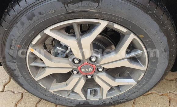 Nunua Ilio tumika Kia Stonic Blue Gari ndani ya Big Bend nchini Lubombo Nunua Ilio tumika Kia Stonic Blue Gari ndani ya Big Bend nchini Lubombo