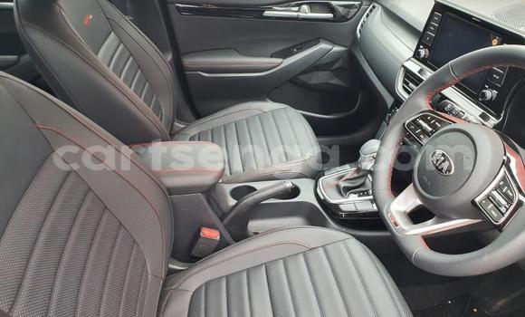 Nunua Ilio tumika Kia Stonic Blue Gari ndani ya Big Bend nchini Lubombo Nunua Ilio tumika Kia Stonic Blue Gari ndani ya Big Bend nchini Lubombo