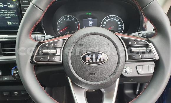 Nunua Ilio tumika Kia Stonic Blue Gari ndani ya Big Bend nchini Lubombo Nunua Ilio tumika Kia Stonic Blue Gari ndani ya Big Bend nchini Lubombo