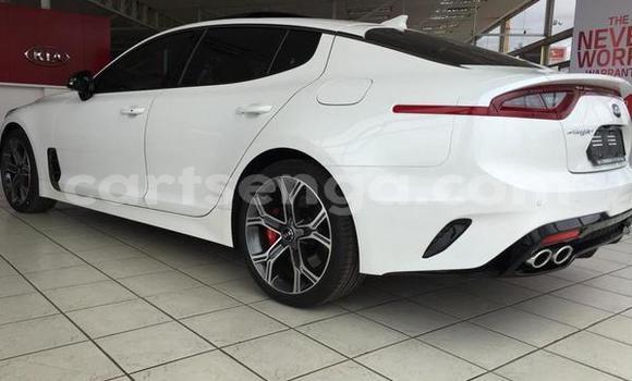 Acheter Occasion Voiture Kia Stinger Blanc à Ezulwini, Hhohho Acheter Occasion Voiture Kia Stinger Blanc à Ezulwini, Hhohho
