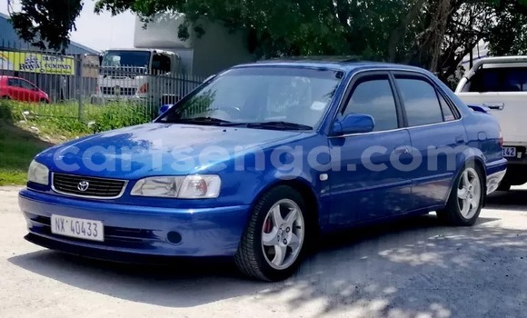 Nunua Ilio tumika Toyota Corolla Blue Gari ndani ya Ezulwini nchini Hhohho Nunua Ilio tumika Toyota Corolla Blue Gari ndani ya Ezulwini nchini Hhohho