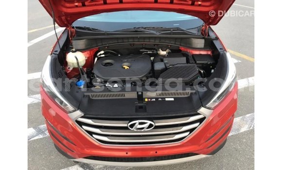 Buy Import Hyundai Tucson Red Car in Import - Dubai in Hhohho Buy Import Hyundai Tucson Red Car in Import - Dubai in Hhohho