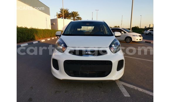Acheter Import Voiture Kia Picanto Blanc à Import - Dubai, Hhohho Acheter Import Voiture Kia Picanto Blanc à Import - Dubai, Hhohho