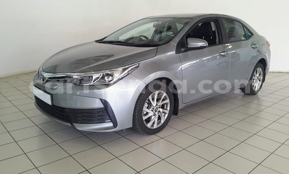 Acheter Occasion Voiture Toyota Corolla Gris à Mbabane, Manzini Acheter Occasion Voiture Toyota Corolla Gris à Mbabane, Manzini