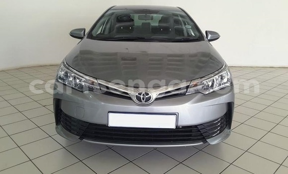 Acheter Occasion Voiture Toyota Corolla Gris à Mbabane, Manzini Acheter Occasion Voiture Toyota Corolla Gris à Mbabane, Manzini