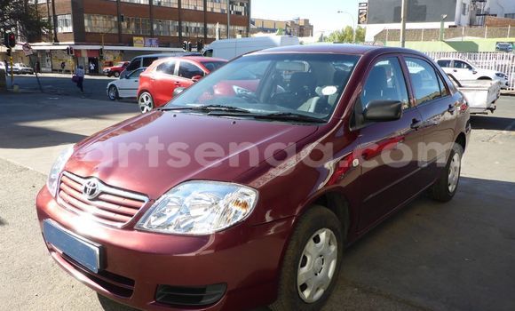 Buy Used Toyota Corolla Other Car in Ezulwini in Hhohho Buy Used Toyota Corolla Other Car in Ezulwini in Hhohho