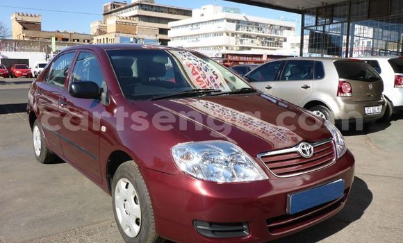 Buy Used Toyota Corolla Other Car in Ezulwini in Hhohho Buy Used Toyota Corolla Other Car in Ezulwini in Hhohho