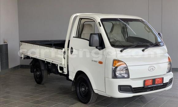 Buy Used Hyundai H200 White Truck in Big Bend in Lubombo