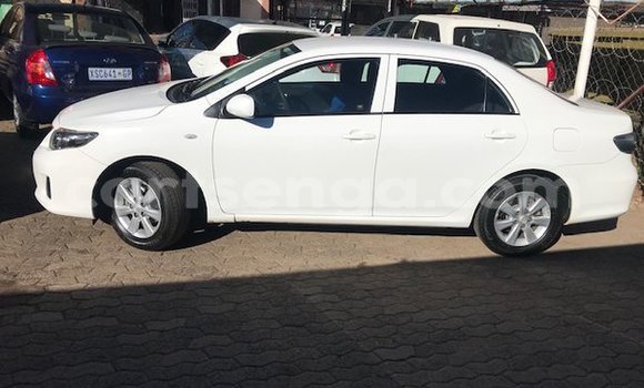 Acheter Occasion Voiture Toyota Corolla Blanc à Ezulwini, Hhohho Acheter Occasion Voiture Toyota Corolla Blanc à Ezulwini, Hhohho