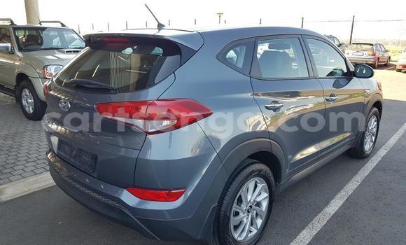 Acheter Occasion Voiture Hyundai Tucson Autre à Big Bend, Lubombo Acheter Occasion Voiture Hyundai Tucson Autre à Big Bend, Lubombo