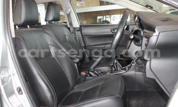 Acheter Occasion Voiture Toyota Corolla Autre à Big Bend, Lubombo Acheter Occasion Voiture Toyota Corolla Autre à Big Bend, Lubombo