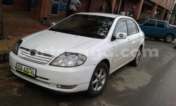 Nunua Ilio tumika Toyota Corolla White Gari ndani ya Manzini nchini Manzini Nunua Ilio tumika Toyota Corolla White Gari ndani ya Manzini nchini Manzini