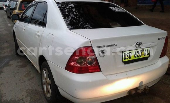 Nunua Ilio tumika Toyota Corolla White Gari ndani ya Manzini nchini Manzini Nunua Ilio tumika Toyota Corolla White Gari ndani ya Manzini nchini Manzini