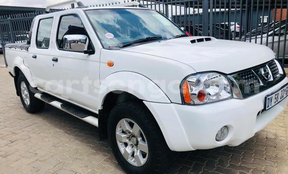 Acheter Occasion Voiture Nissan NP 300 Blanc à Big Bend, Lubombo Acheter Occasion Voiture Nissan NP 300 Blanc à Big Bend, Lubombo