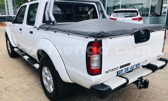 Acheter Occasion Voiture Nissan NP 300 Blanc à Big Bend, Lubombo Acheter Occasion Voiture Nissan NP 300 Blanc à Big Bend, Lubombo